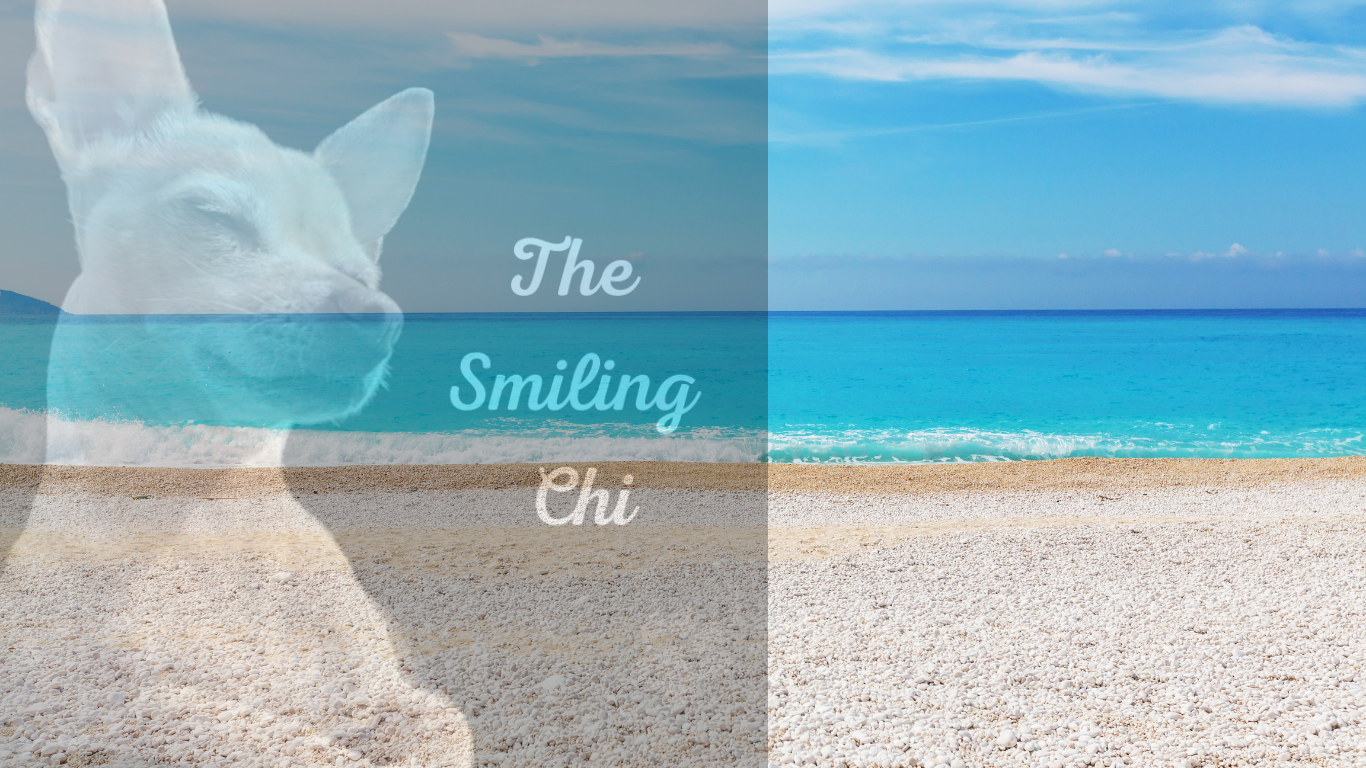 TheSmilingChi Gift Card