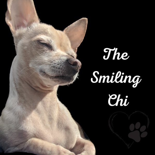 TheSmilingChi.com logo
