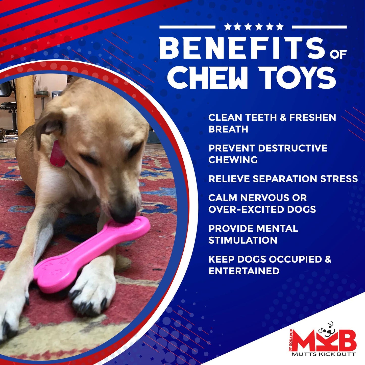 Bone Ultra Durable Nylon Dog Chew Toy