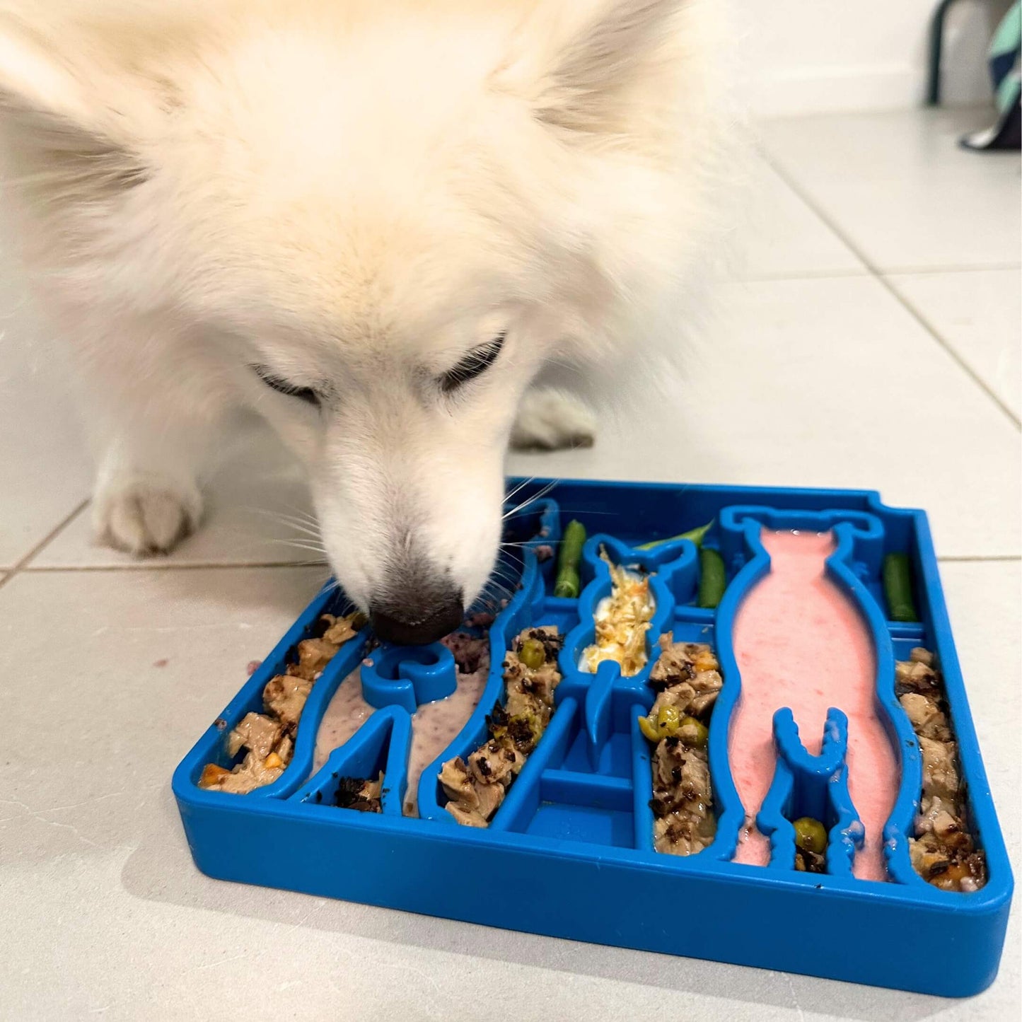 Waiting Dogs Design eTray Enrichment Tray for Dogs