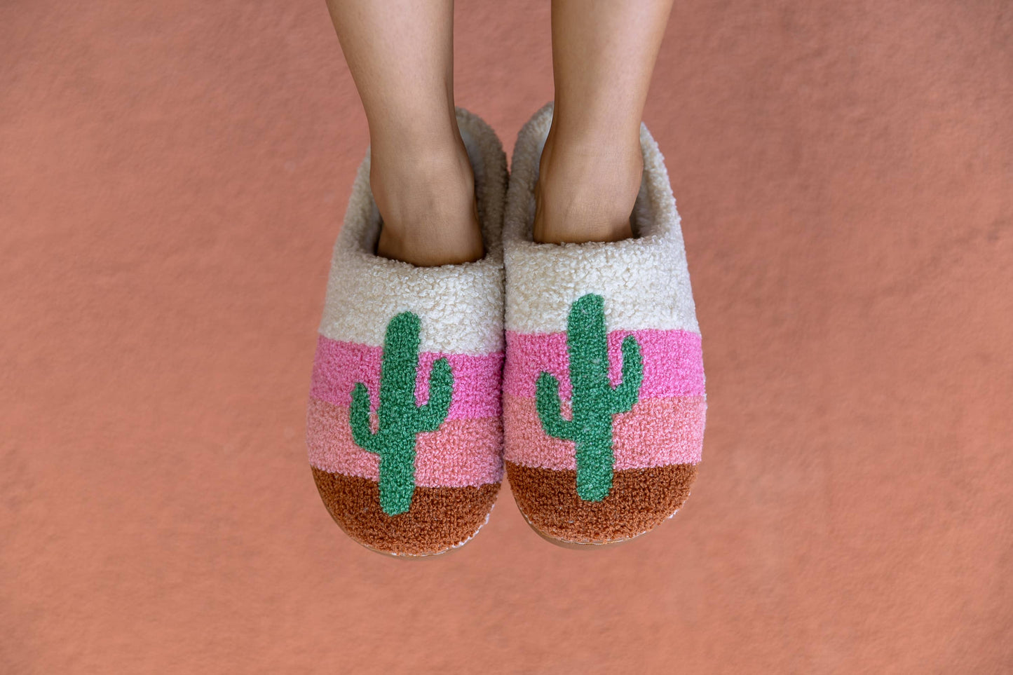 Indoor / Outdoor Slippers - Cactus in a Desert Scene