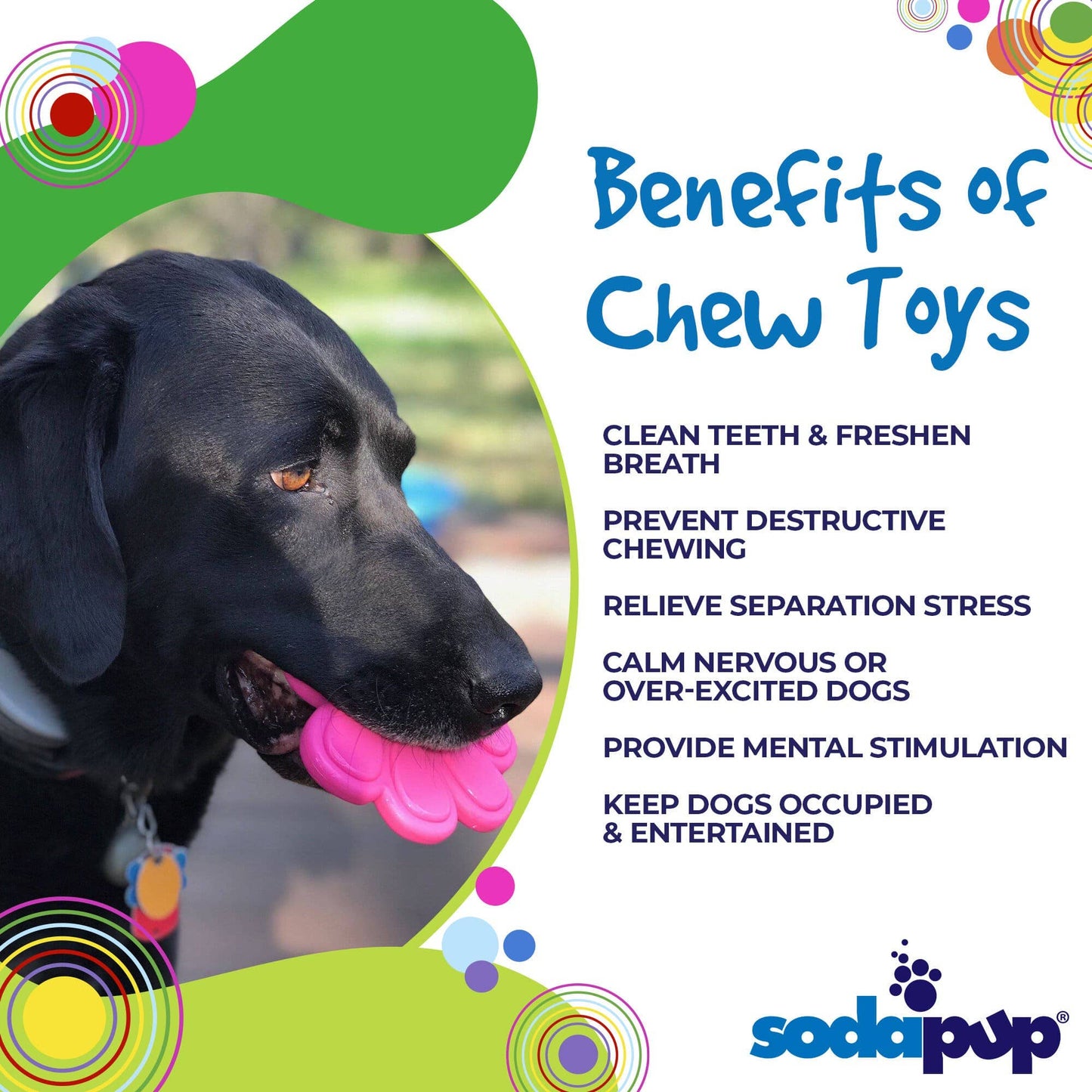 SP Nylon Paw Print Chew Toy - Medium/Large