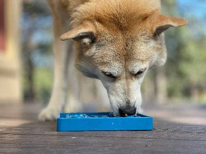 Waiting Dogs Design eTray Enrichment Tray for Dogs