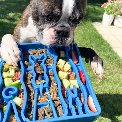 Waiting Dogs Design eTray Enrichment Tray for Dogs