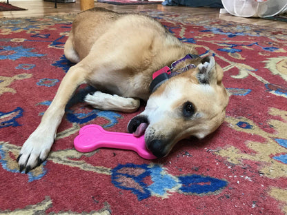 Bone Ultra Durable Nylon Dog Chew Toy