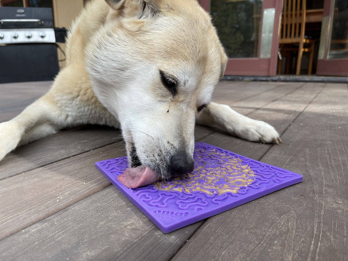 Bones Design Enrichment Licking Mat