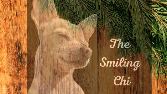 TheSmilingChi Gift Card